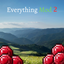 Everything Mod