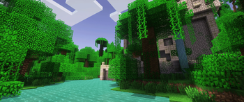 Jungle Biome