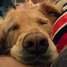 Owehttamy