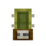 home cactus