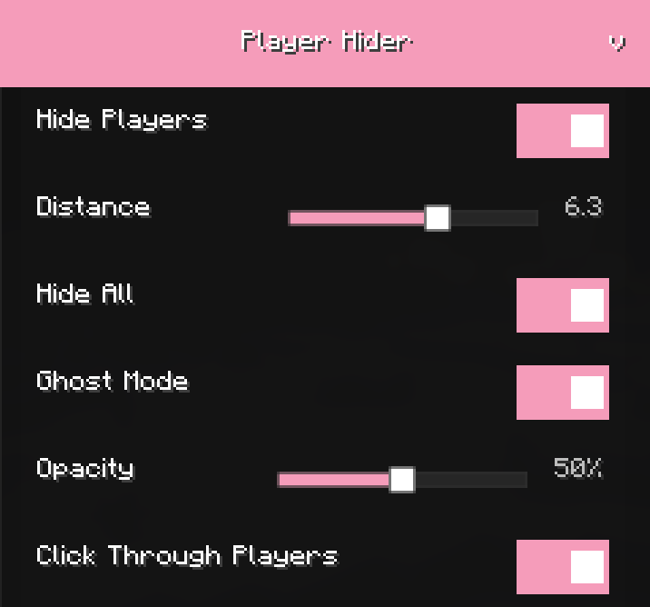 Player Hider