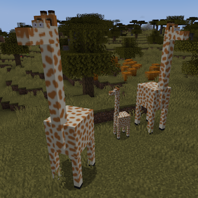 Giraffes and koalas