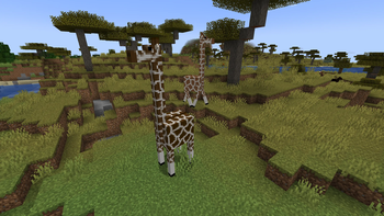 Giraffe variants