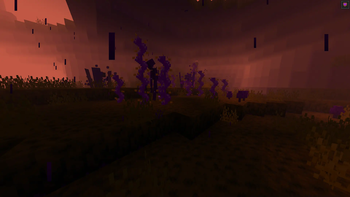 Manderin Rift Biome