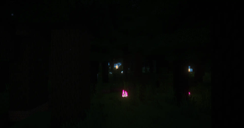 Night in the forest