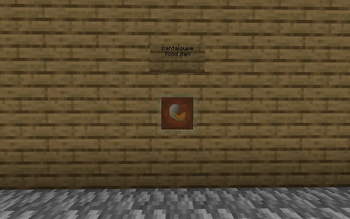cantaloupe food item