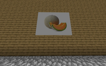 cantaloupe painting