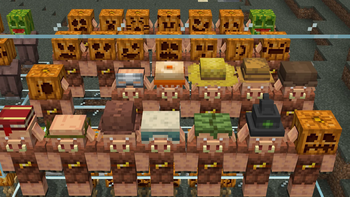 Piglins wearing pumpkins