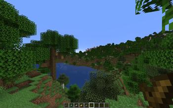 Wood Sword