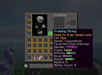 Training String Tooltip