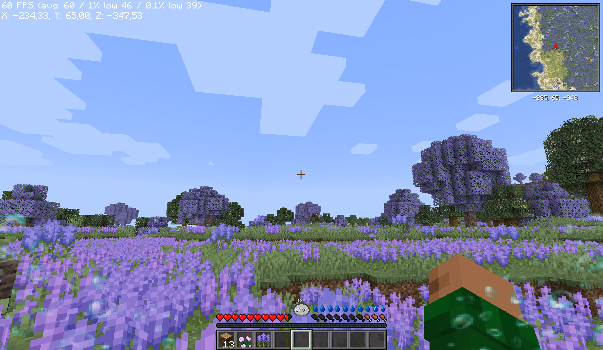 A player wandering in a plain full of lilac flowers