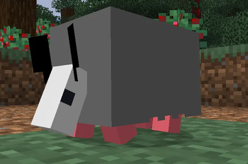 Opossum