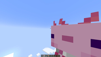 3D Axolotl in Bucket