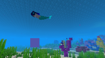 in the sea