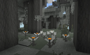 Pale Garden