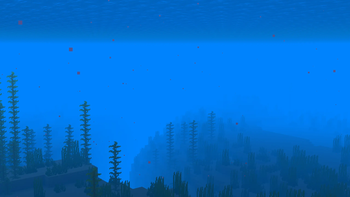 Underwater Ocean