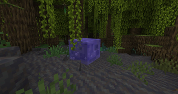 Purple Slime In The Wild