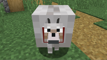 A wolf standing. (The Sequel)