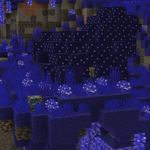 Mushrooms and Caverns