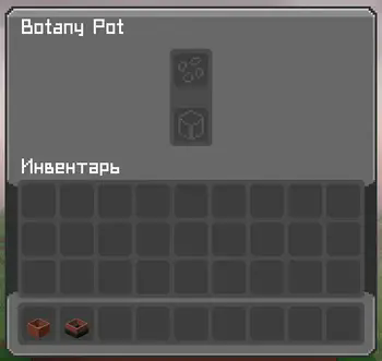 Botany Pots