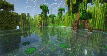 Mangrove River