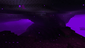 Night Grove