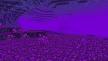 Night Grove (Night Vision)