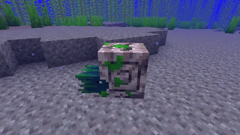 Zombie Nautilus swimming alone