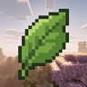 Matcha Flavoured SMP