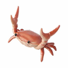 Crabbiernote