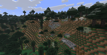 pine forest