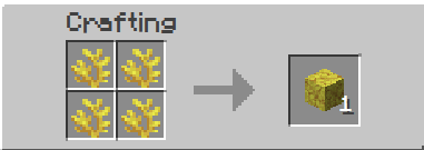 Horn Coral Block Recipe