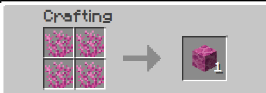 Brain Coral Block Recipe