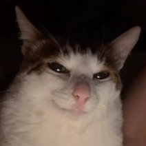 misikon