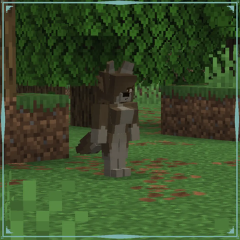 woods