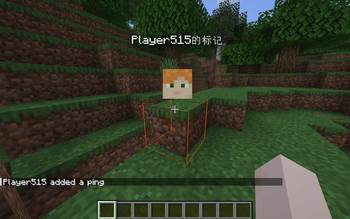 The Ping