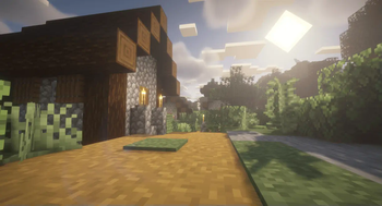 Village