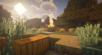 Wild CampFire