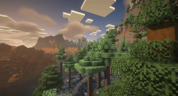 Woods