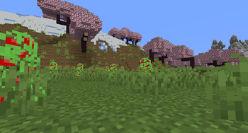 Tomato bushes