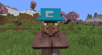 Customer Villager