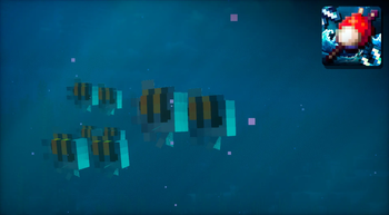 New fish