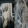 Girls und Panzer (GuP) HD Paintings