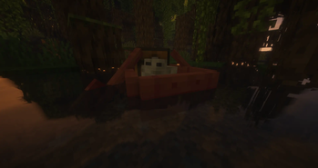 Mangrove boat with some things to carry
