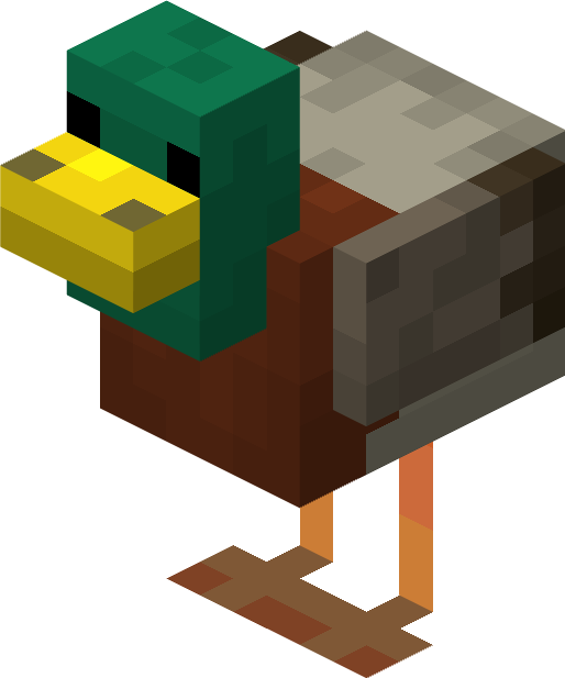 A Duck