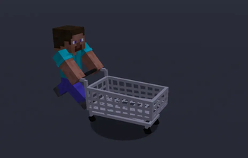 Steve