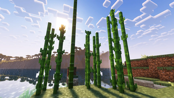 3D Sugarcane