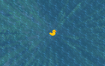 Duck in the sea