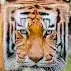 Tiger Totem of Undying