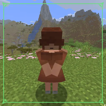 Plains